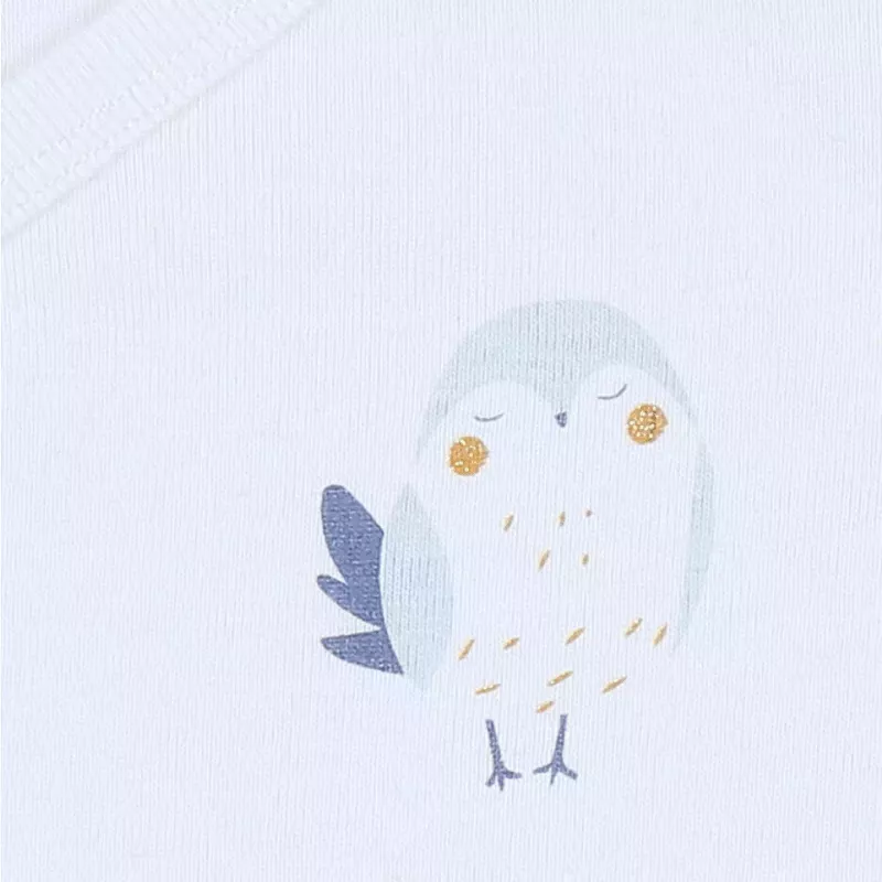 Lot de 2 bodies bébé manches longues jersey - petit oiseau et fleurs - Noukie's