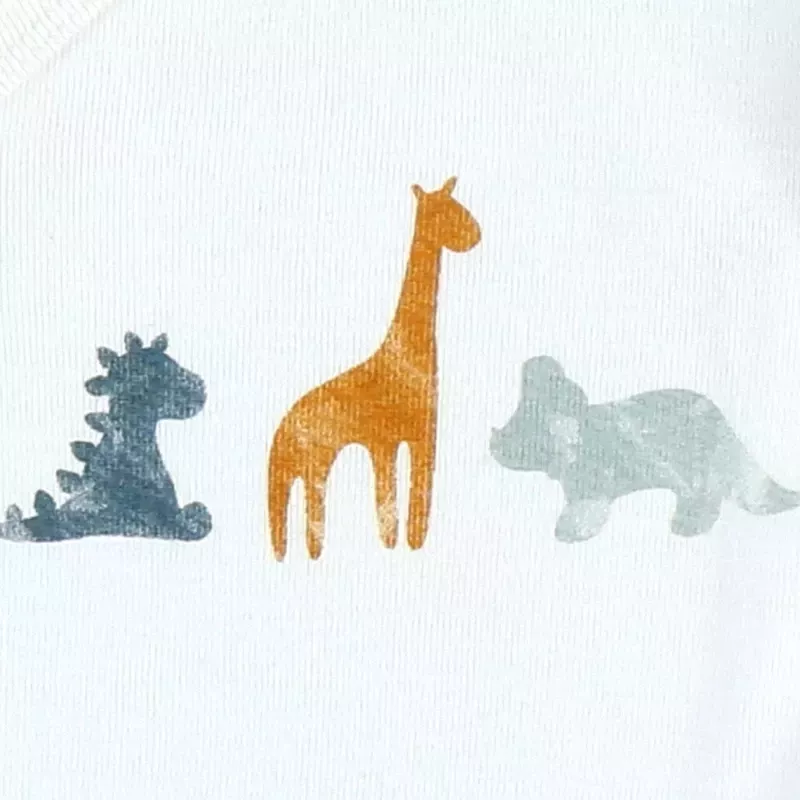 Lot de 2 bodies bébé manches longues jersey bio - dinosaures - Noukie's