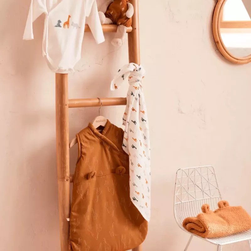 Lot de 2 bodies bébé manches longues jersey bio - dinosaures - Noukie's