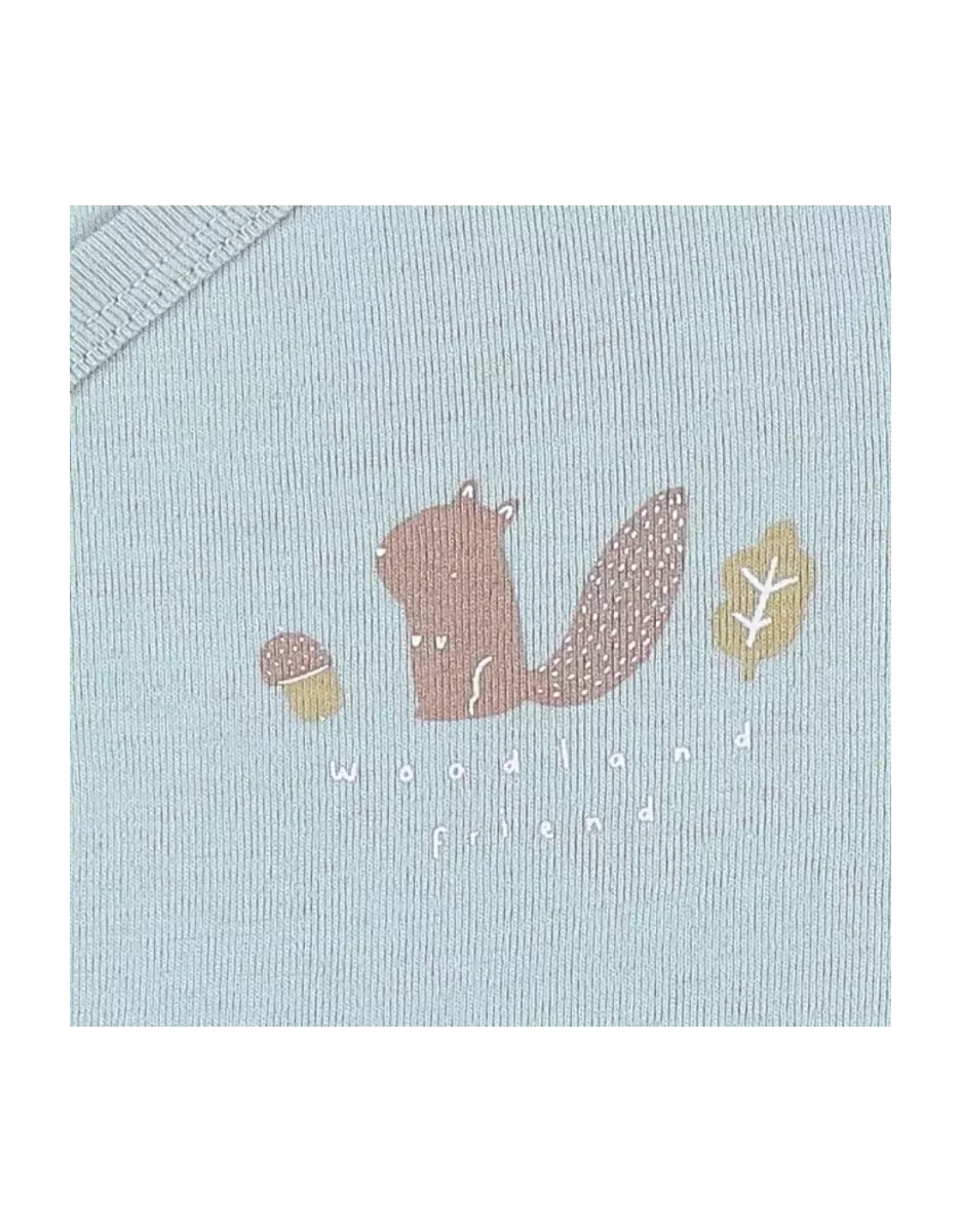 Lot de 2 bodies bébé manches longues jersey - fôret - Noukie's