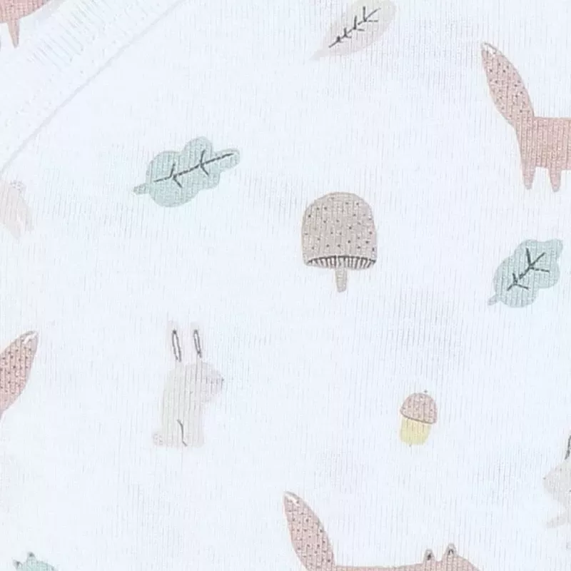 Lot de 2 bodies bébé manches longues jersey - fôret - Noukie's