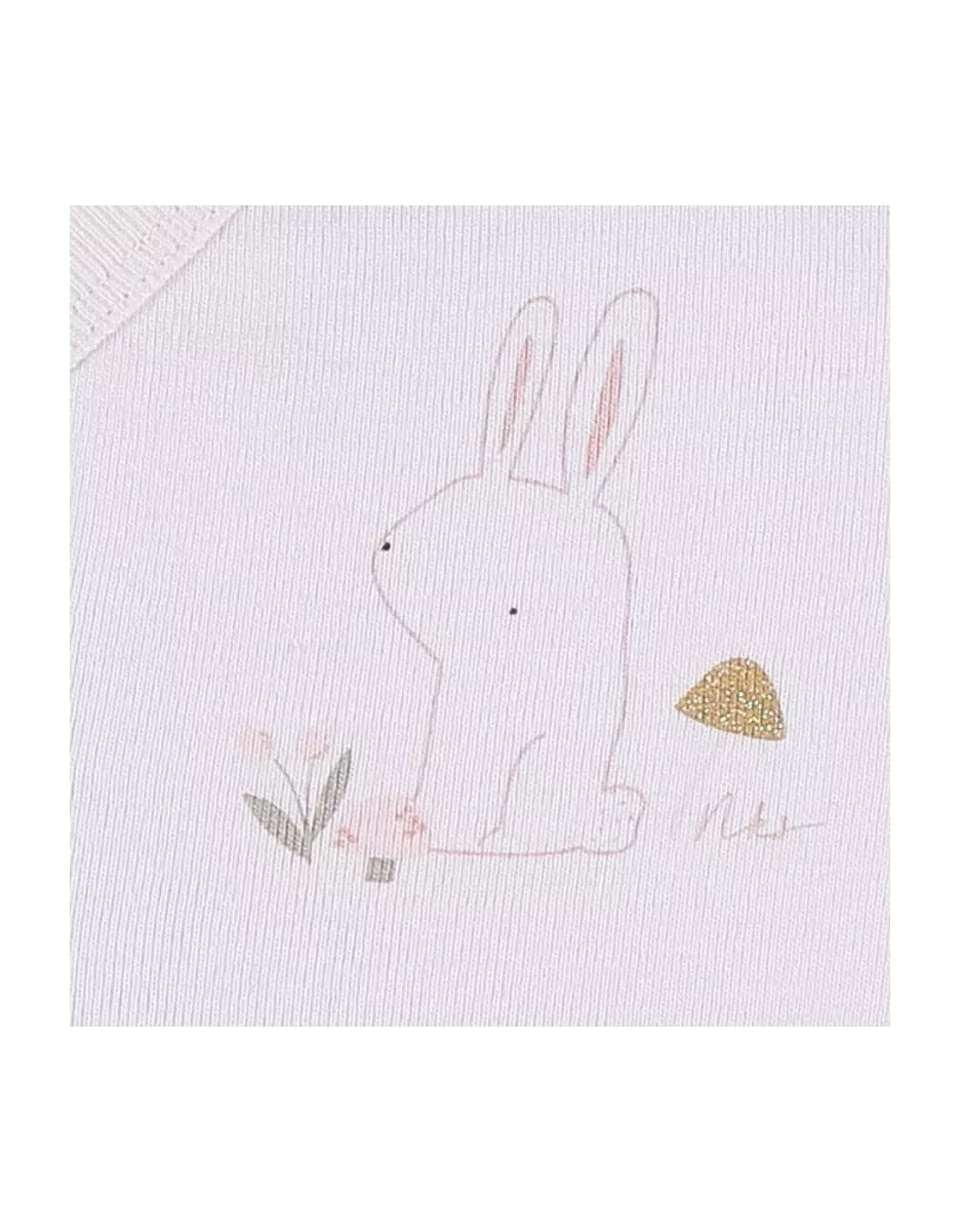 Lot de 2 bodies bébé manches longues jersey - lapin - Noukie's