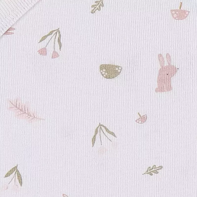 Lot de 2 bodies bébé manches longues jersey - lapin - Noukie's