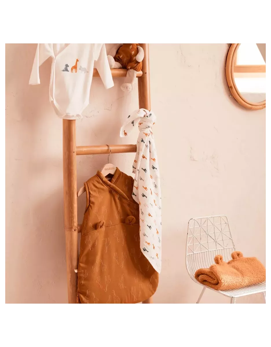 Lot de 2 bodies bébé manches longues jersey bio - dinosaures - Noukie's