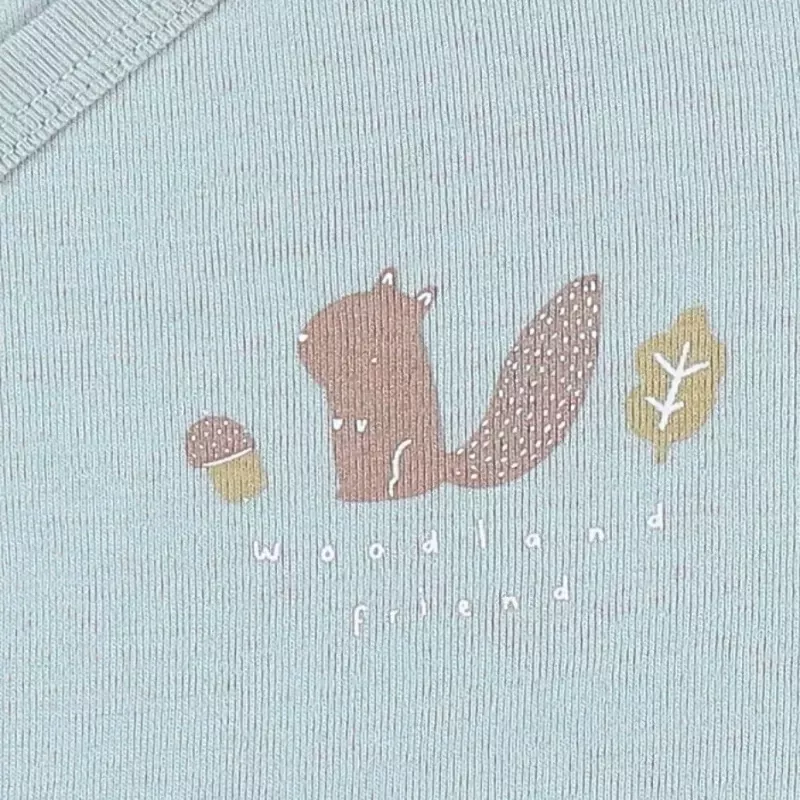 Lot de 2 bodies bébé manches longues jersey - fôret - Noukie's