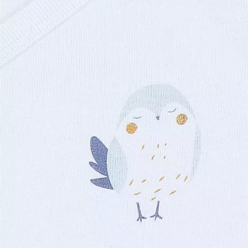 Lot de 2 bodies bébé manches longues jersey - petit oiseau et fleurs - Noukie's