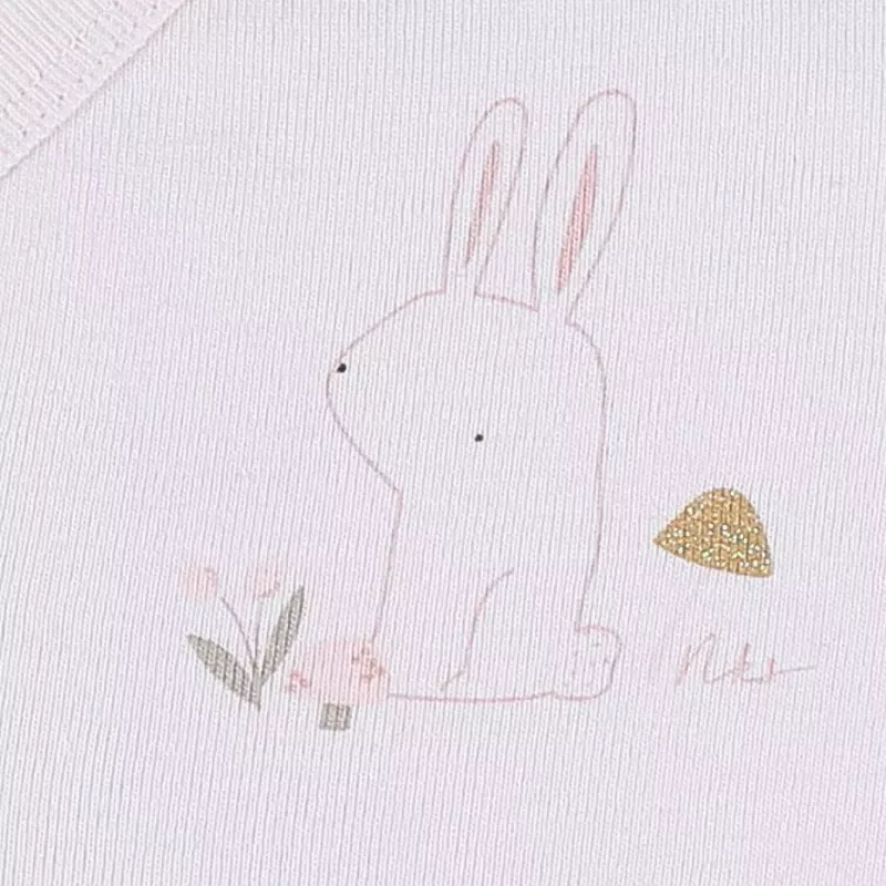 Lot de 2 bodies bébé manches longues jersey - lapin - Noukie's