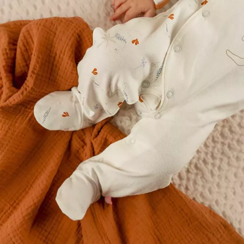 Pyjama bébé jersey - dinosaures - Noukie's