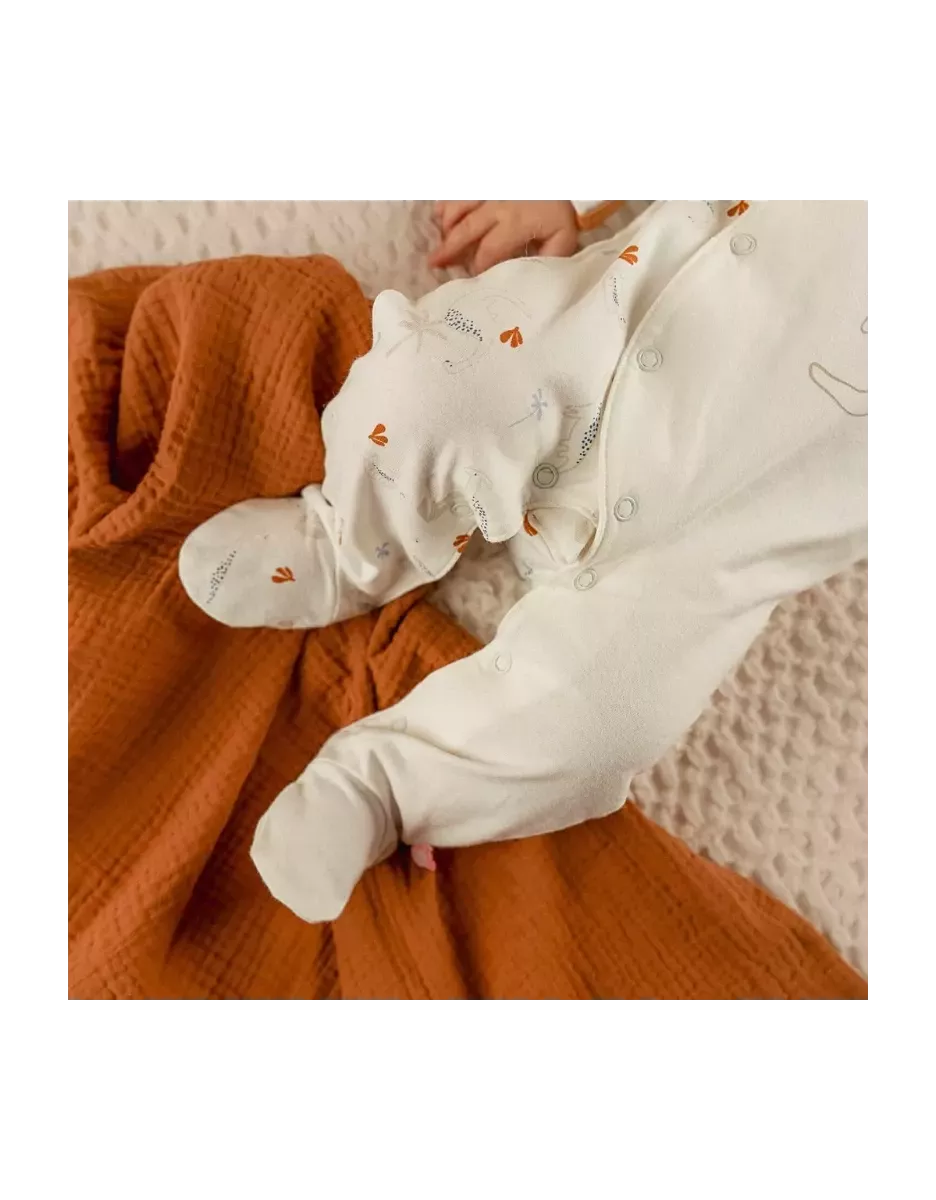 Pyjama bébé jersey - dinosaures - Noukie's